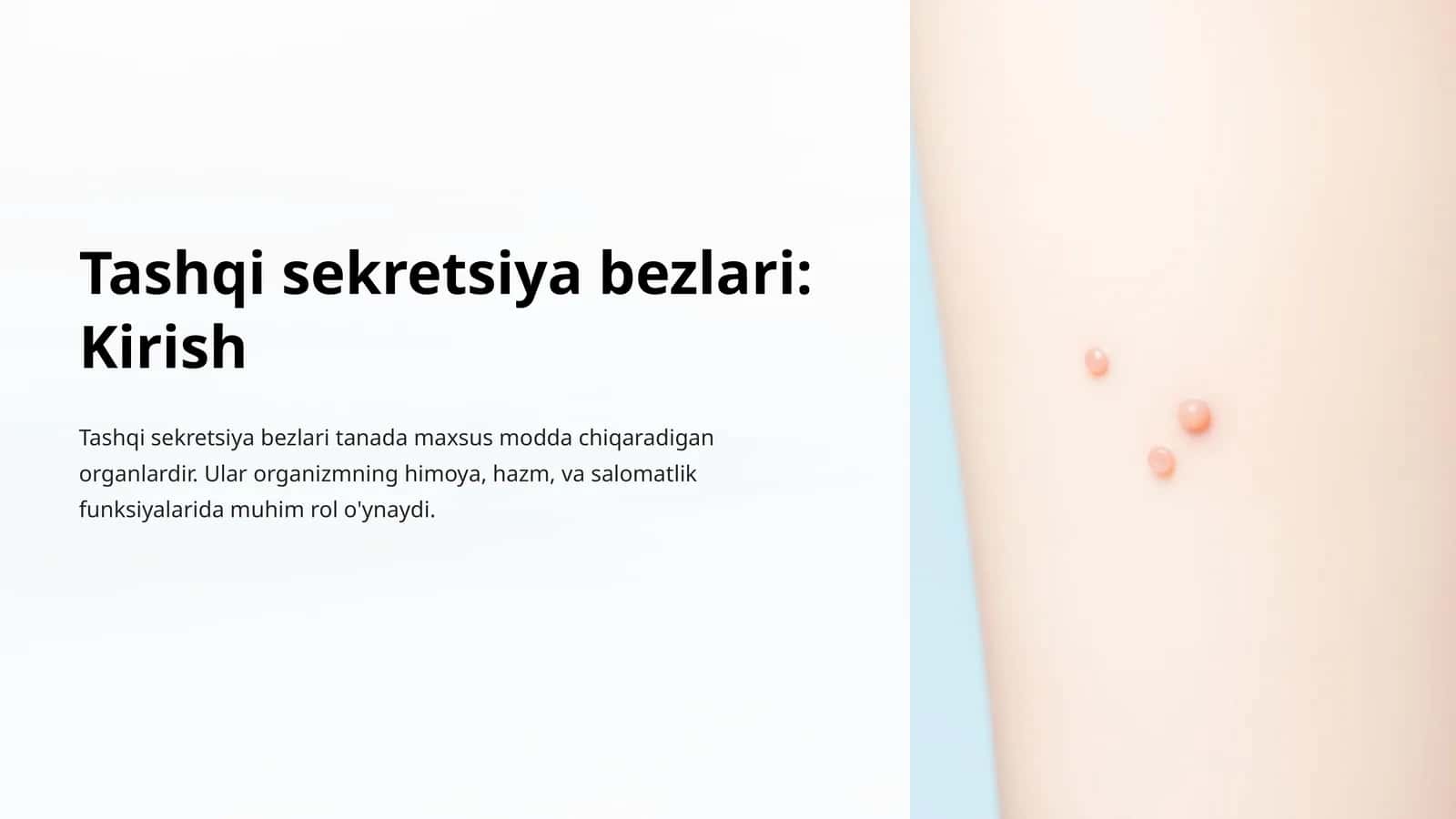 Tashqi sekretsiya bezlari: Kirish 1