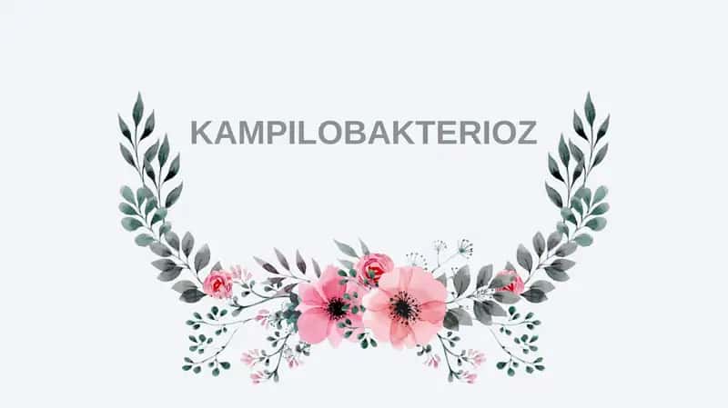 Kampilobakterioz. Yuqumli kasalliklar 1