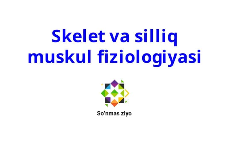 Skelet va silliq muskul fiziologiyasi 1