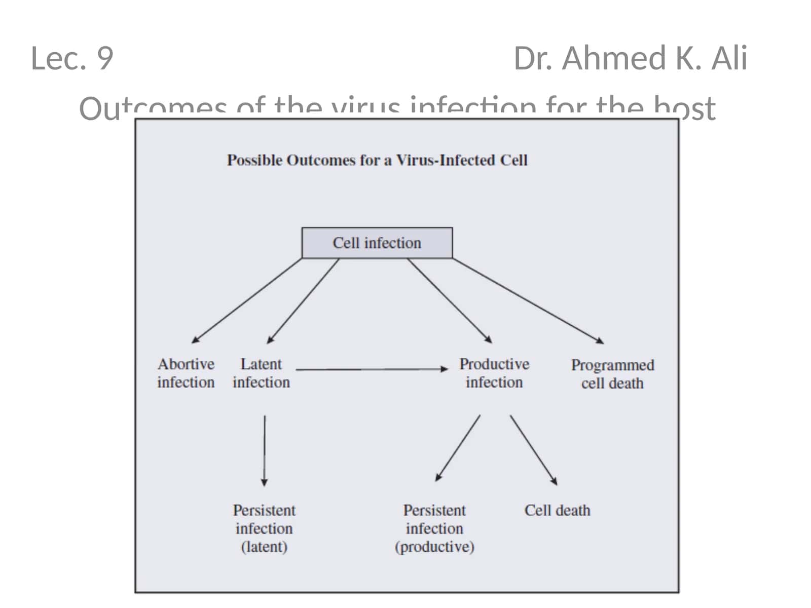 Outcomes of the virus infection for the host 1