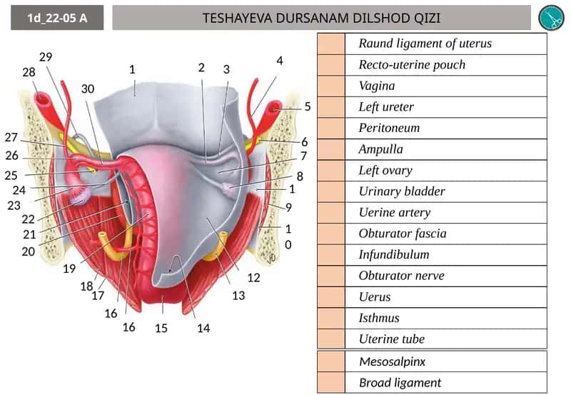TESHAYEVA DURSANAM DILSHOD QIZI 1