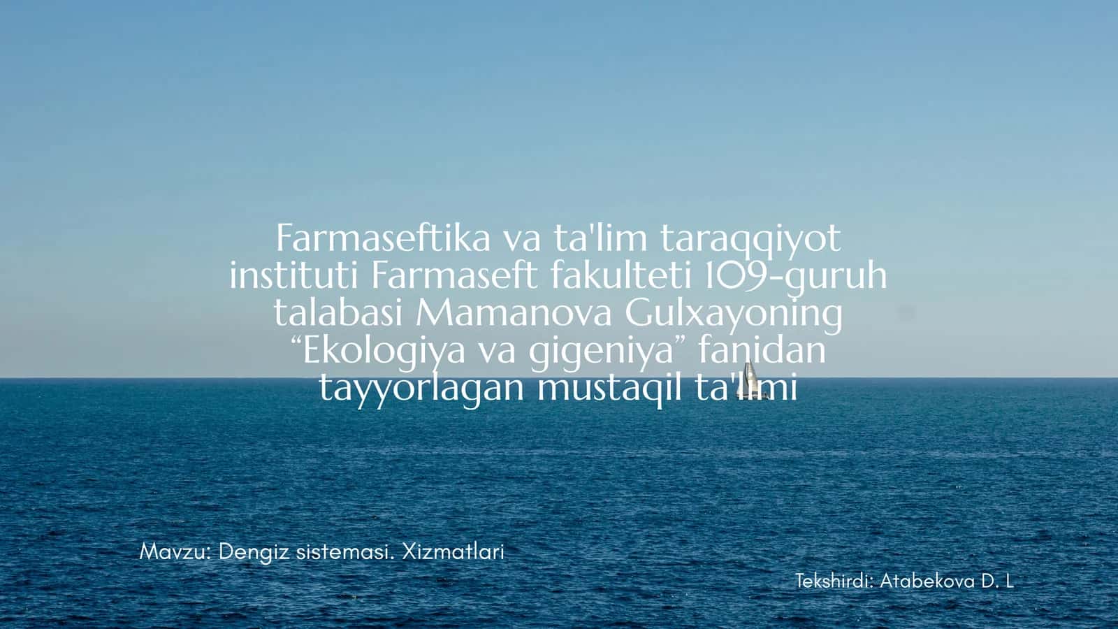 Dengiz Sistemasi 1