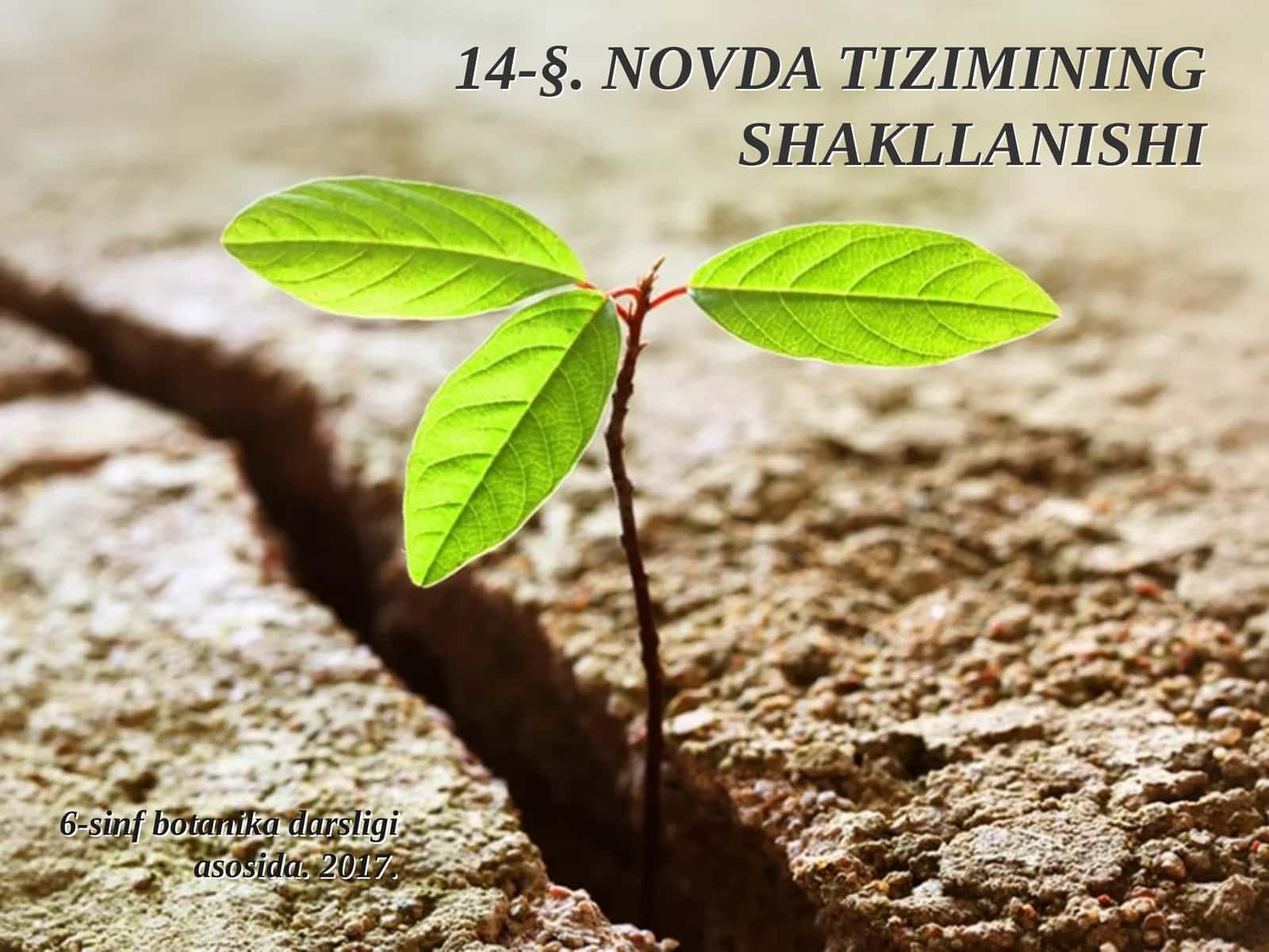 6-sinf Botanika Novda tizimimg shakllanishi 1