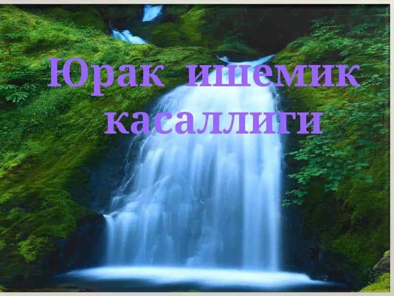 Юрак ишемик касаллиги 1