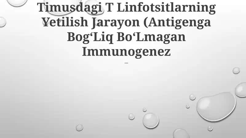 Timusdagi T Linfotsitlarning Yetilish Jarayon (Antigenga BogʻLiq BoʻLmagan Immunogenez 1