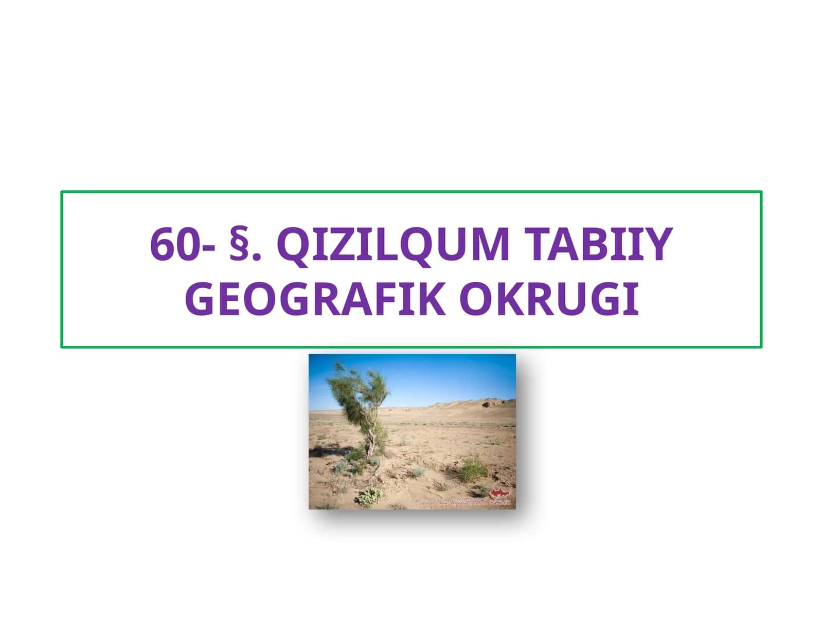 QIZILQUM TABIIY GEOGRAFIK OKRUGI 1