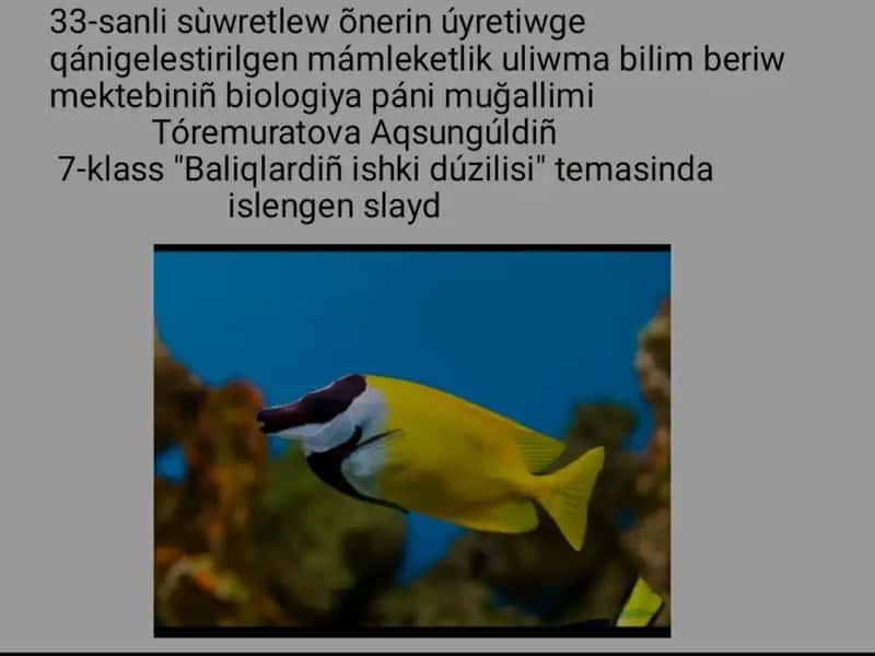Qoraqalpoq xalqi moddiy va madaniy hayoti 1