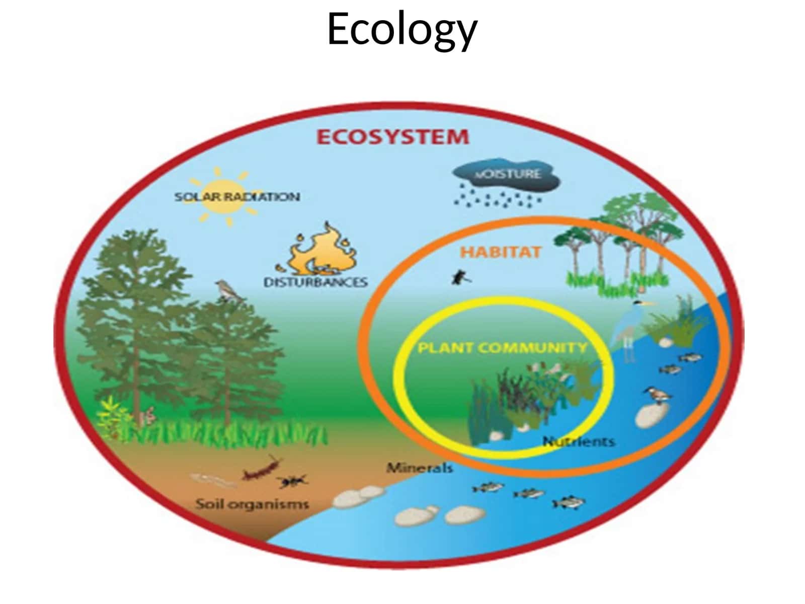 Ecology 1