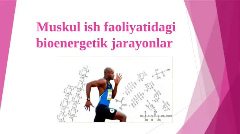 Muskul ish faoliyatidagi bioenеrgеtikjarayonlar 1