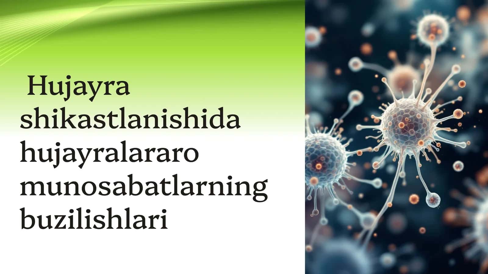Hujayra shikastlanishida hujayralararo munosabatlarning buzilishlari 1