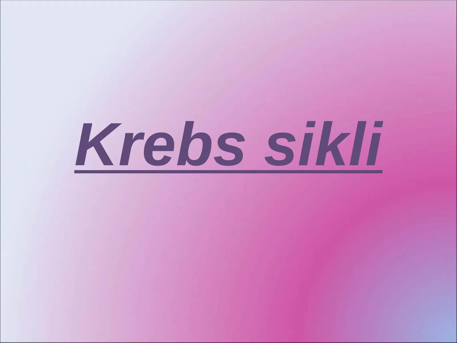Krebs sikli 1