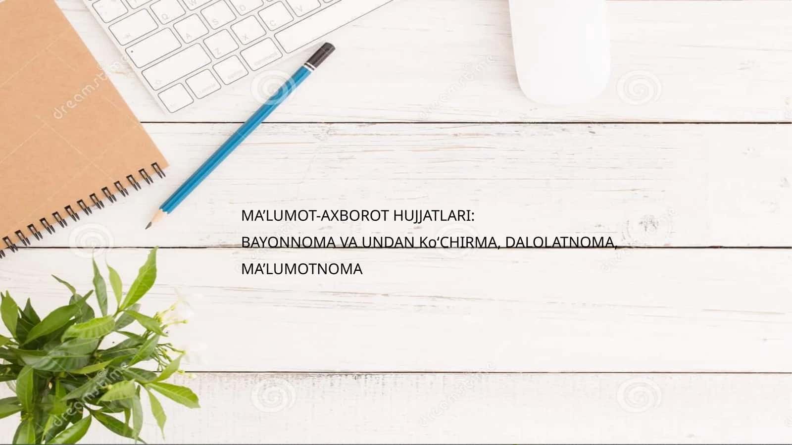 Bayonnoma yozish tartibi 1
