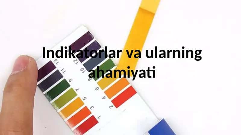 Indikatorlar va ularning ahamiyati 1