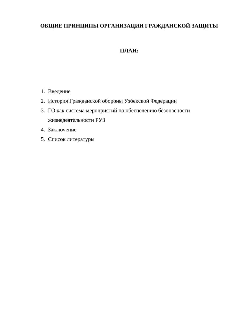 ОБЩИЕ ПРИНЦИПЫ ОРГАНИЗАЦИИ ГРАЖДАНСКОЙ ЗАЩИТЫ 1