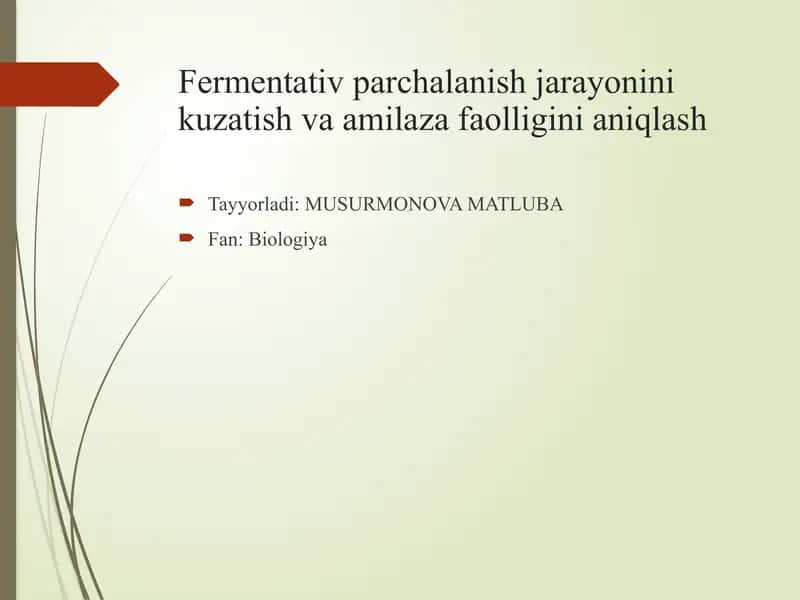 Fermentativ_parchalanish_va_Amilaza_faolligi 1