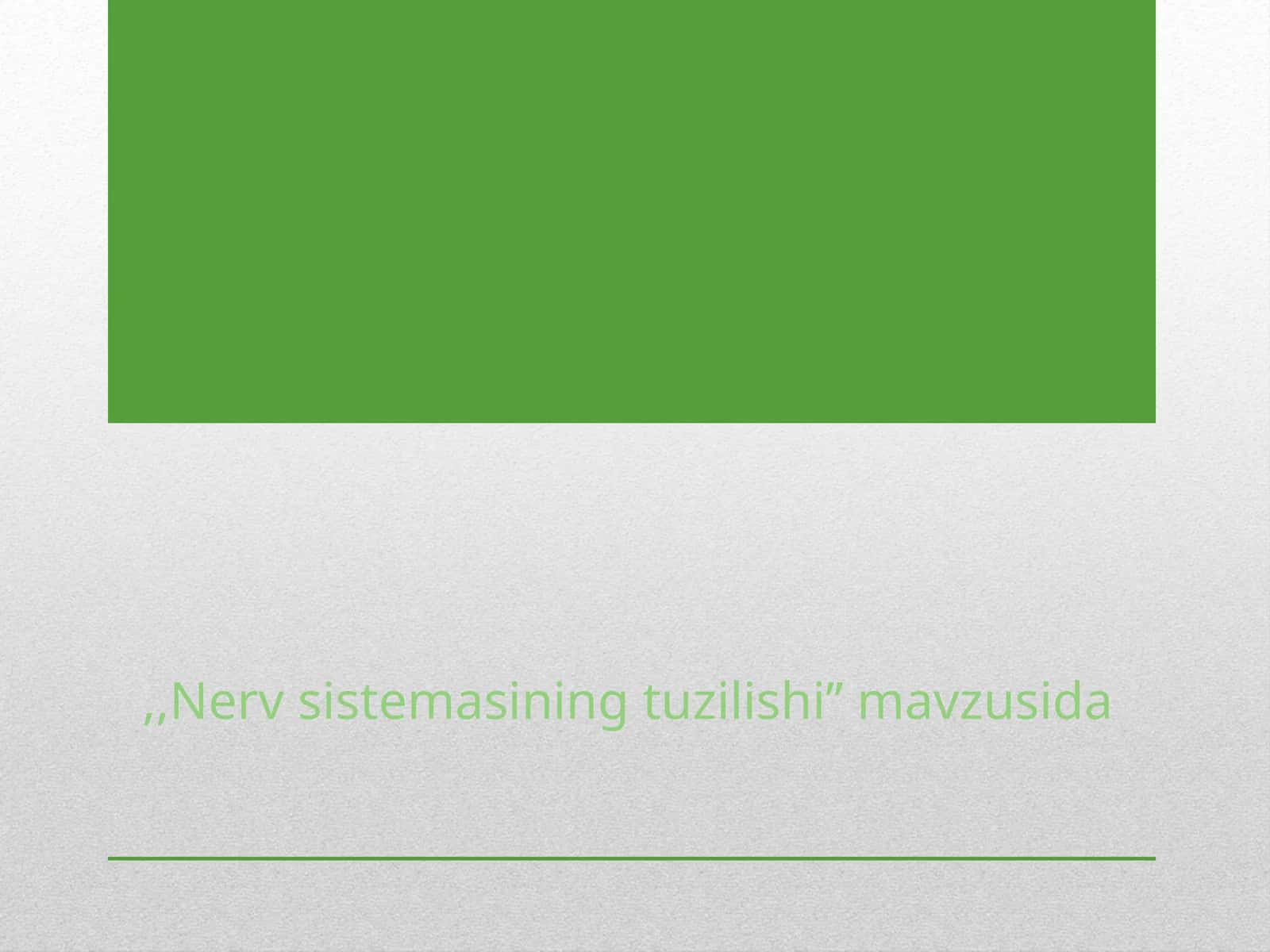 Nerv sistemasi 1