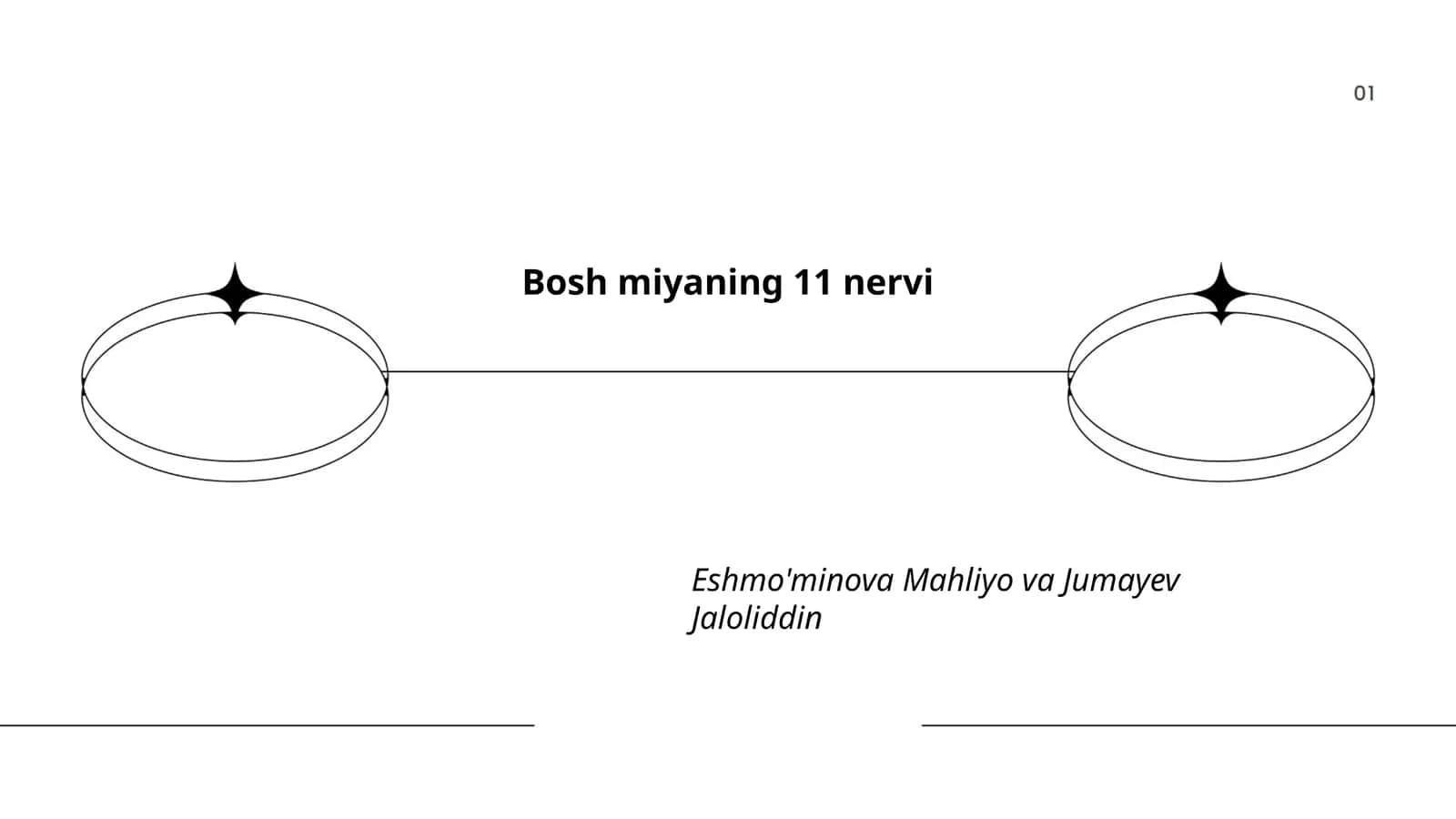Bosh miyaning 11 nervi 1