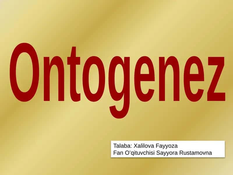Ontogenez 1