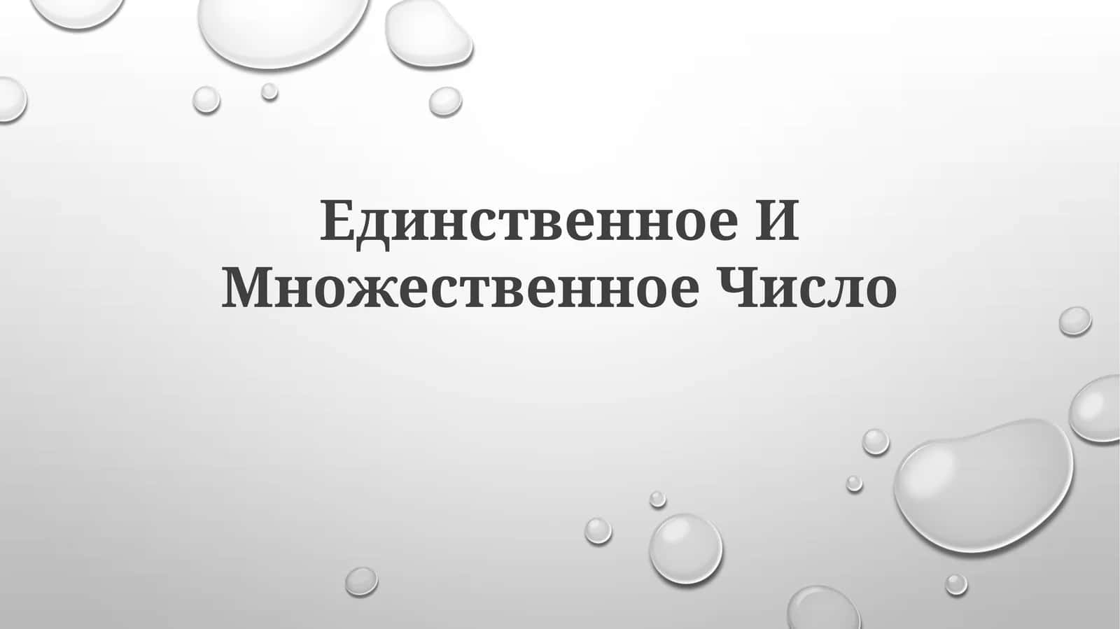 Единственное ИМножественноеЧисло 1