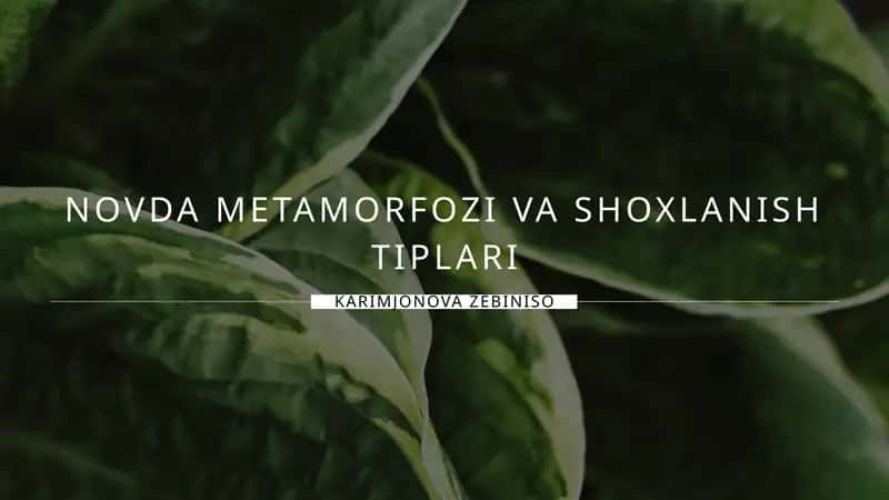 Novda Metamorfozi va Shoxlanish Tiplari 1