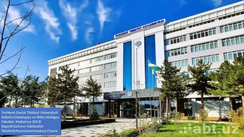 Me'daning Kompensator-Adaptiv va Regenerativ Xususiyatlari 1
