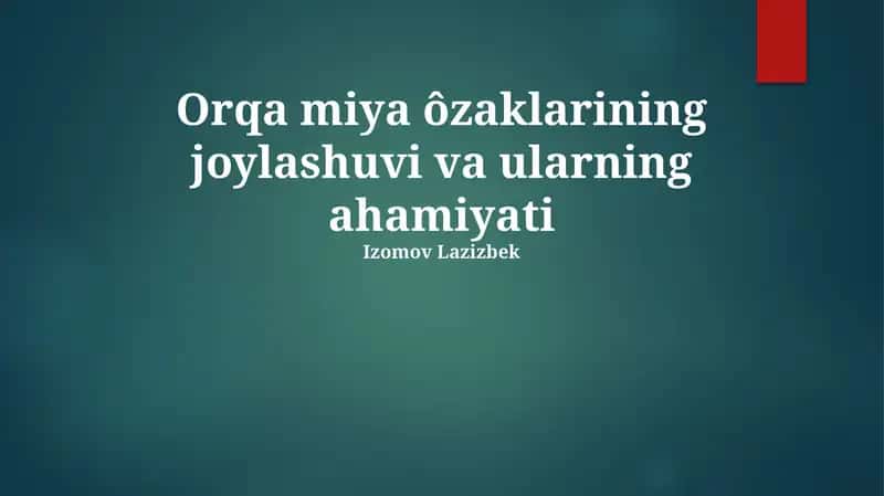 Orqa miya ôzaklarining joylashuvi va ularning ahamiyati 1