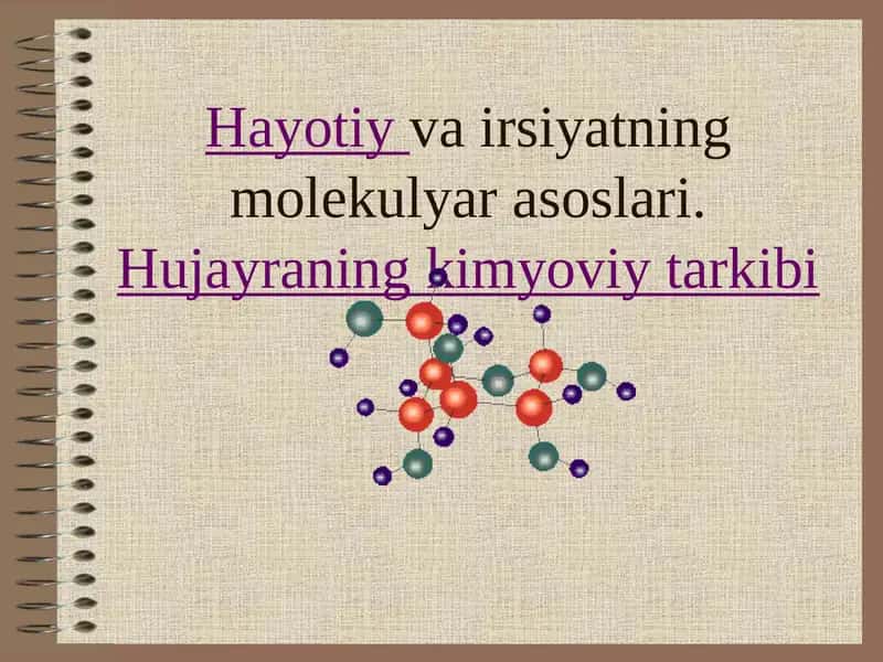 Hаyotiy va irsiyatning molekulyar asoslari 1