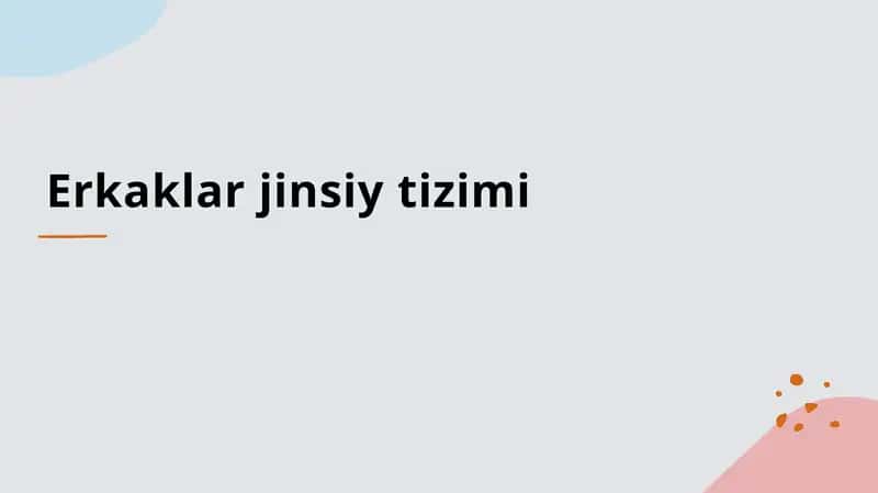 Erkaklar jinsiy tizimi 1