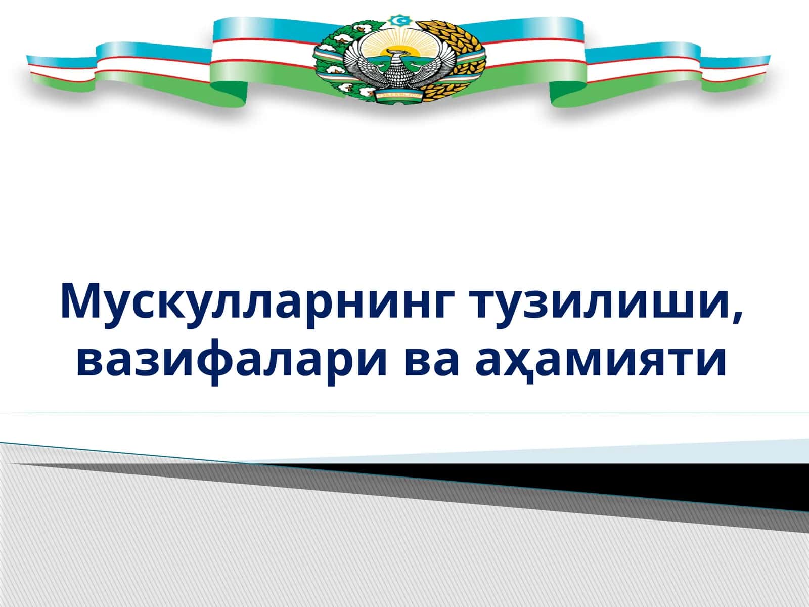 Мускулларнинг тузилиши, вазифалари ва аҳамияти 1