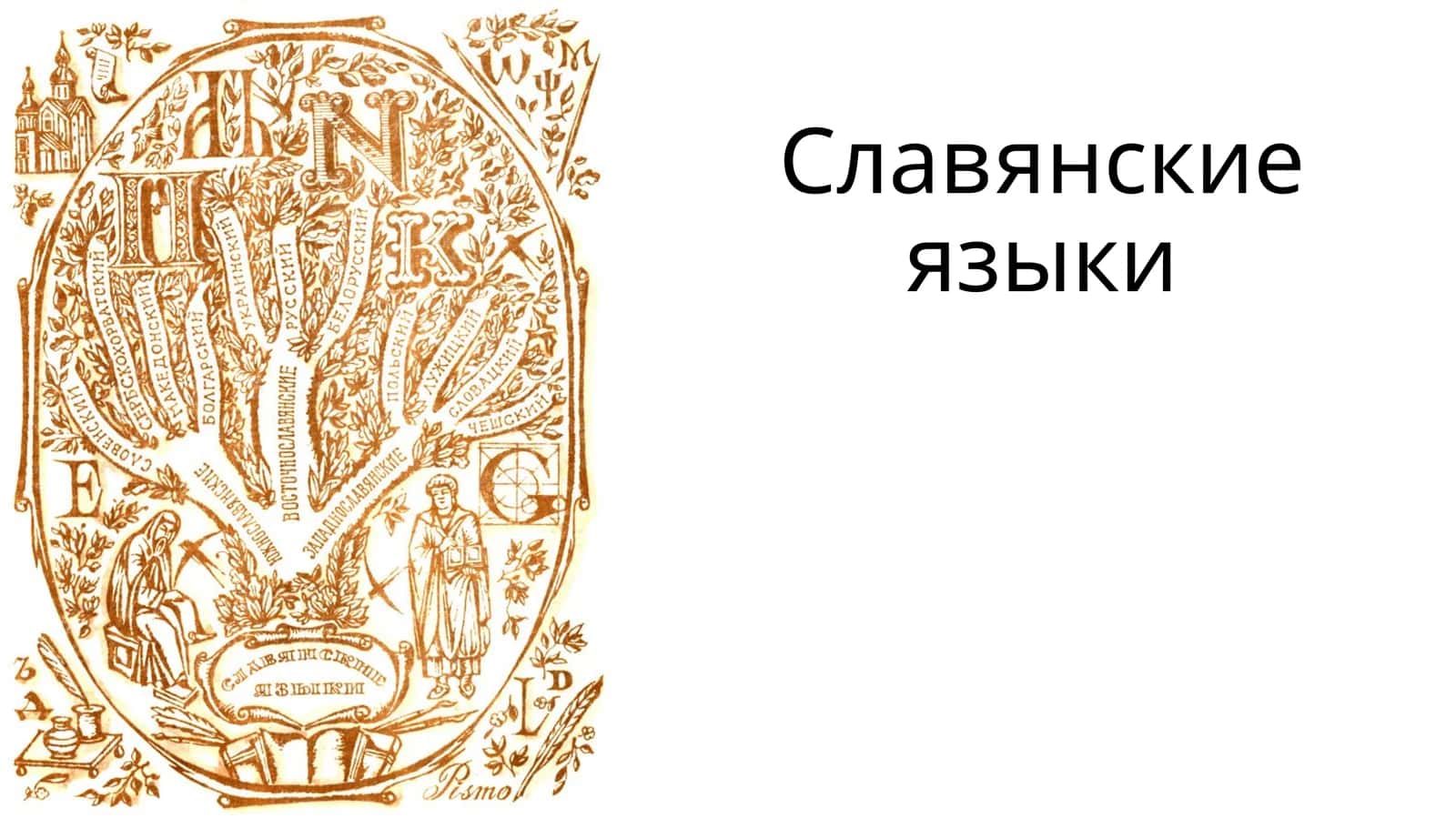 Славянские языки 1