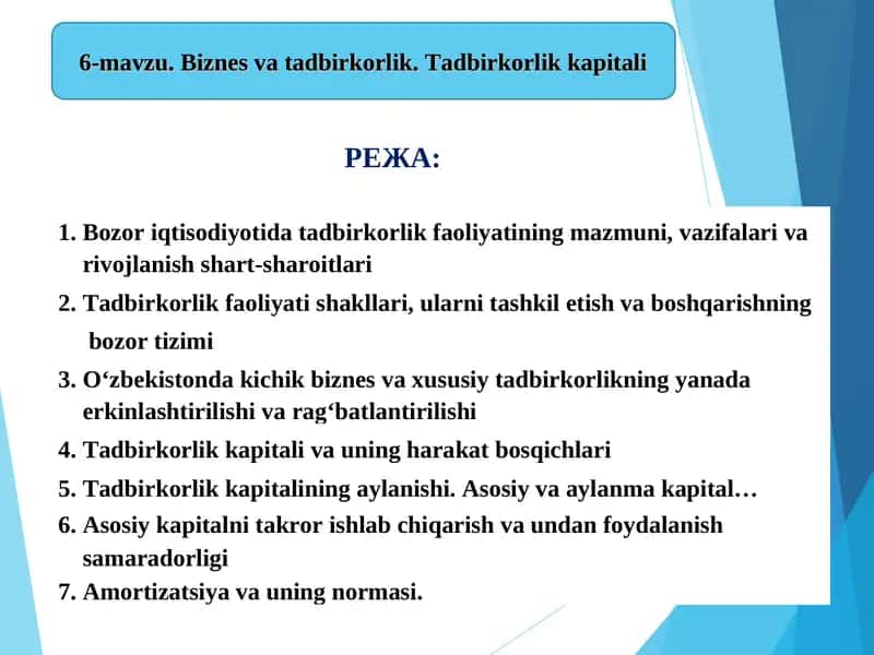 Tadbirkorlik faoliyati 1