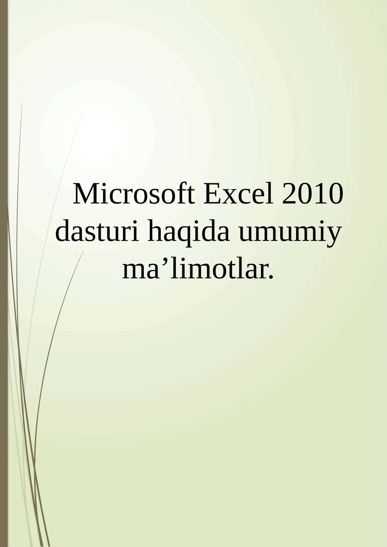 Microsoft Excel 2010 dasturi haqida umumiy ma’lumotlar 1