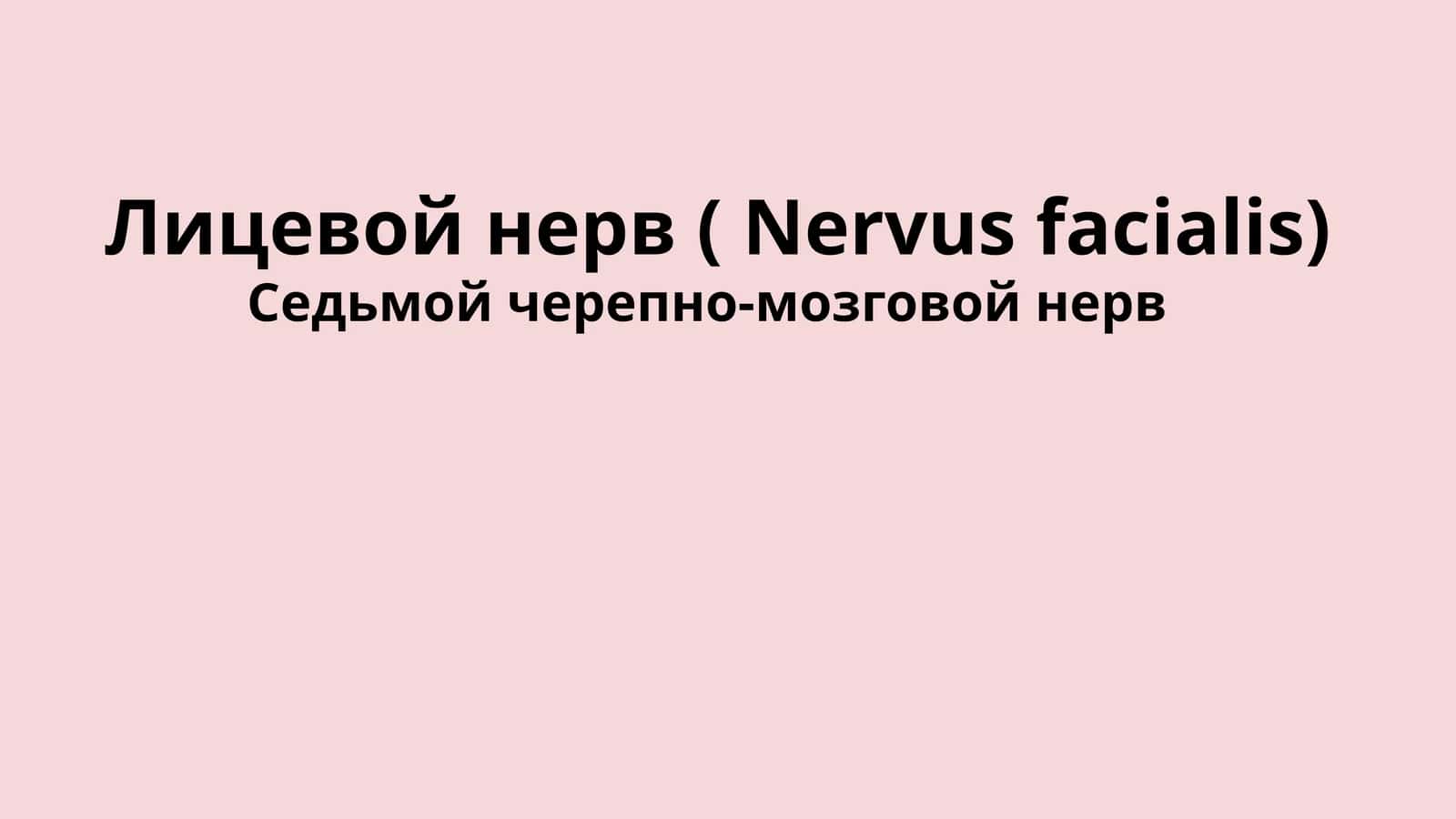 Nervus facialis 1
