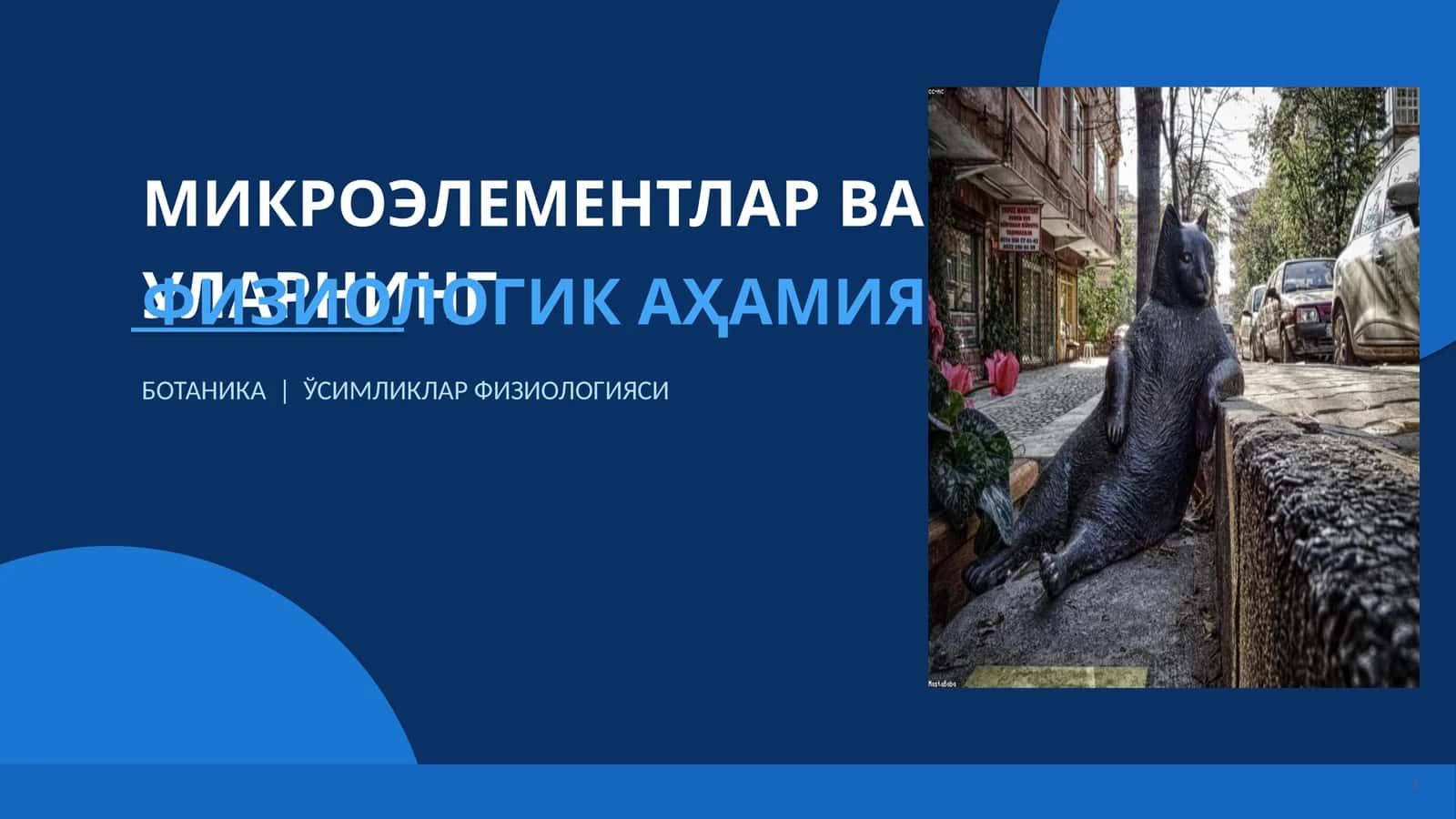 МИКРОЭЛЕМЕНТЛАР ВА УЛАРНИНГ ФИЗИОЛОГИК АҲАМИЯТИ 1