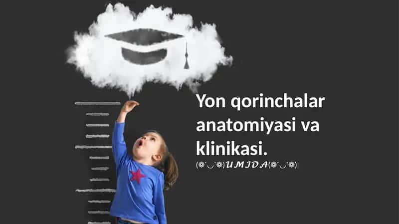 Yon qorinchalar anatomiyasi va klinikasi. 1