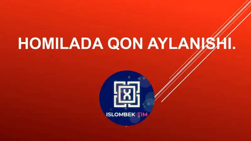 Homilada qon aylanishi 1