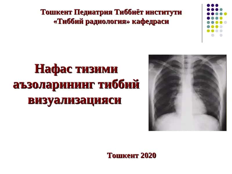 Нафас тизими аъзоларининг тиббий визуализацияси 1