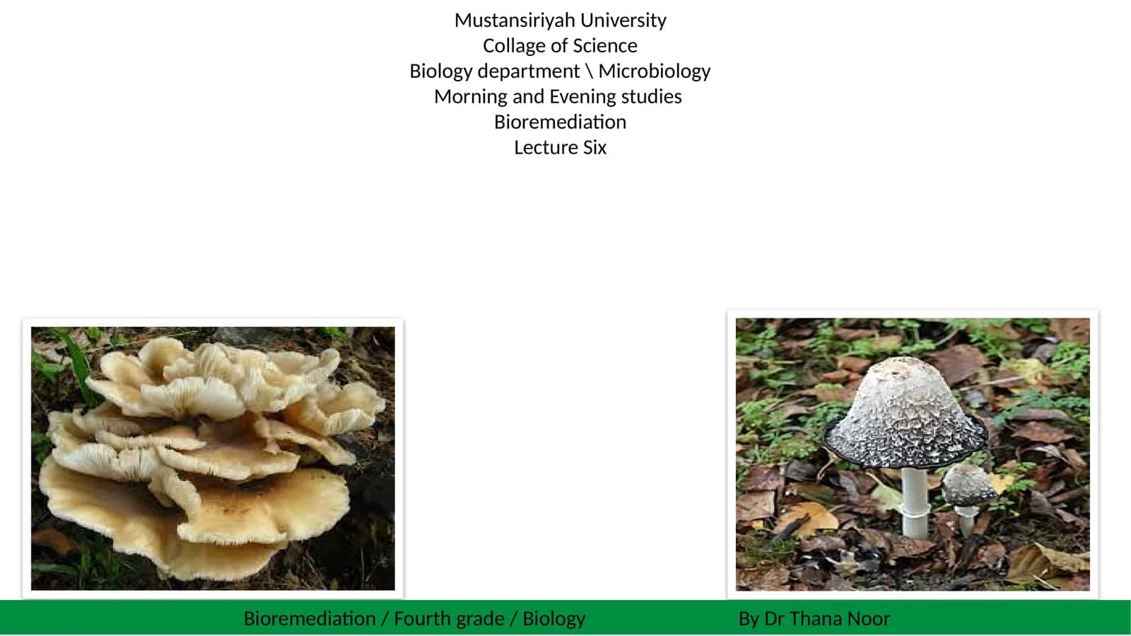 Bioremediation 1