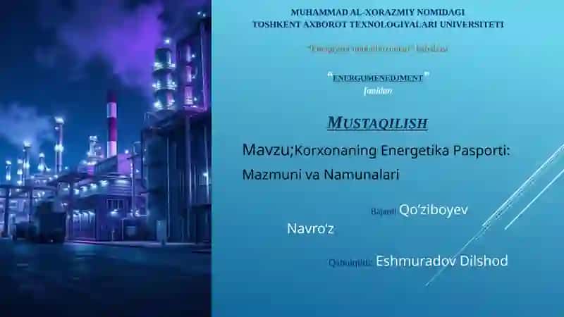 Korxonaning Energetika Pasporti: Mazmuni va Namunalari