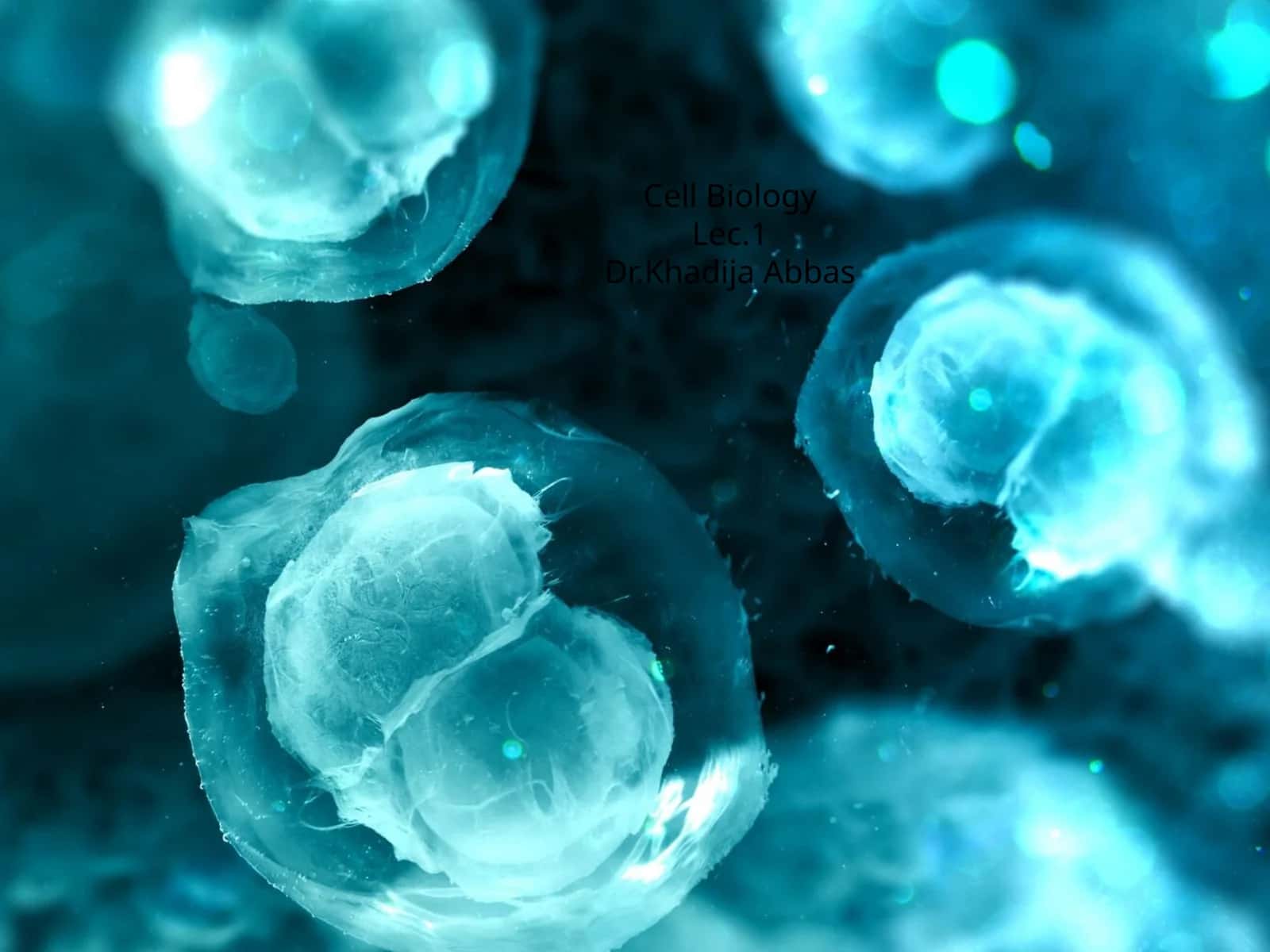 Cell BiologyLec.1 1