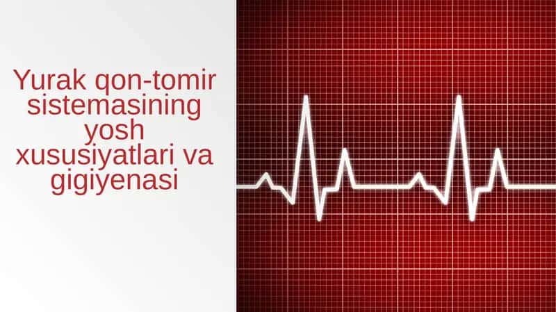 Yurak qon-tomir sistemasining yosh xususiyatlari va gigiyenasi 1