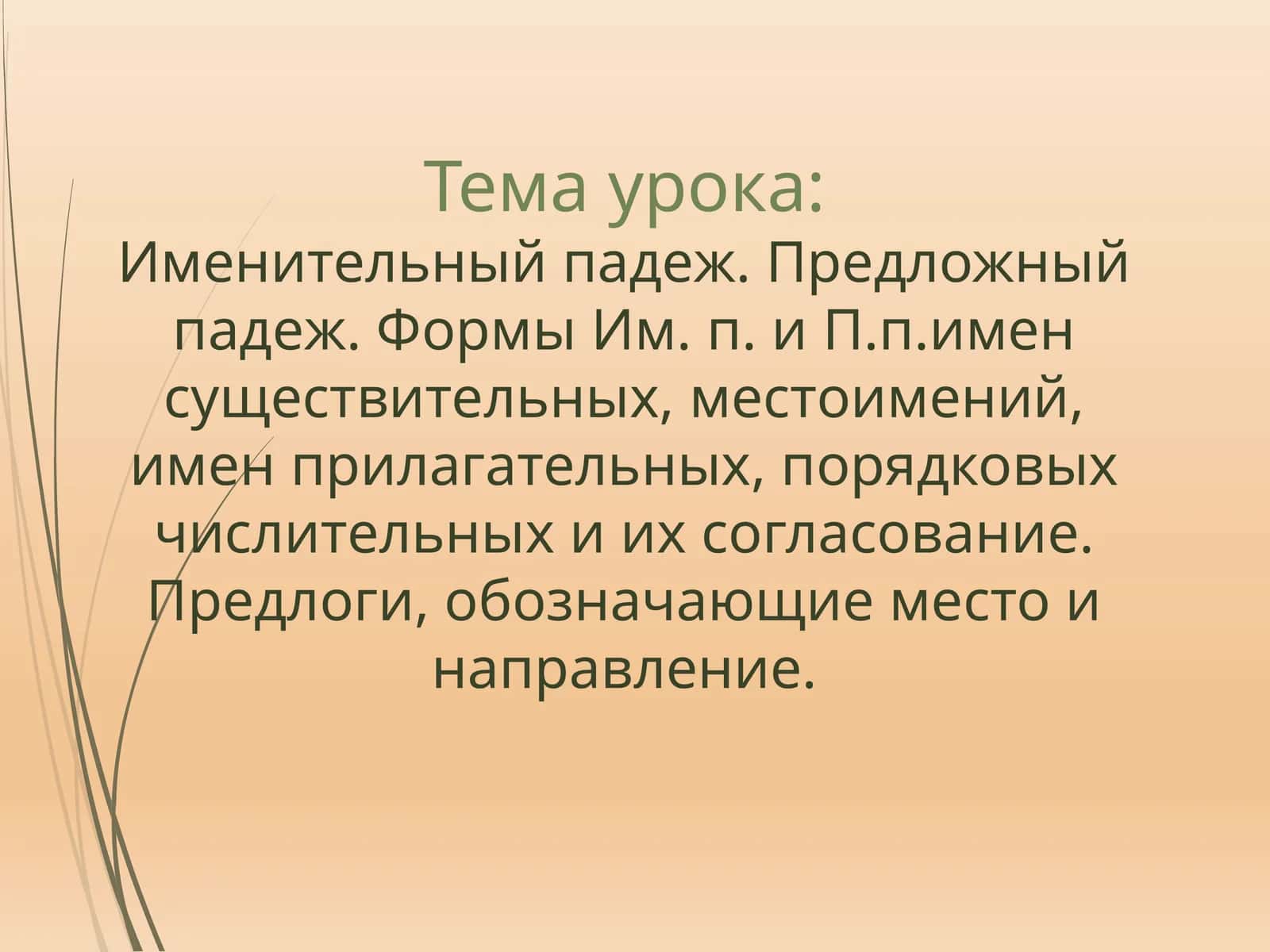 Именительныйпадеж. Предложный падеж 1