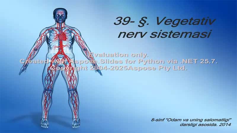 Vegetativ nerv sistemasi 1