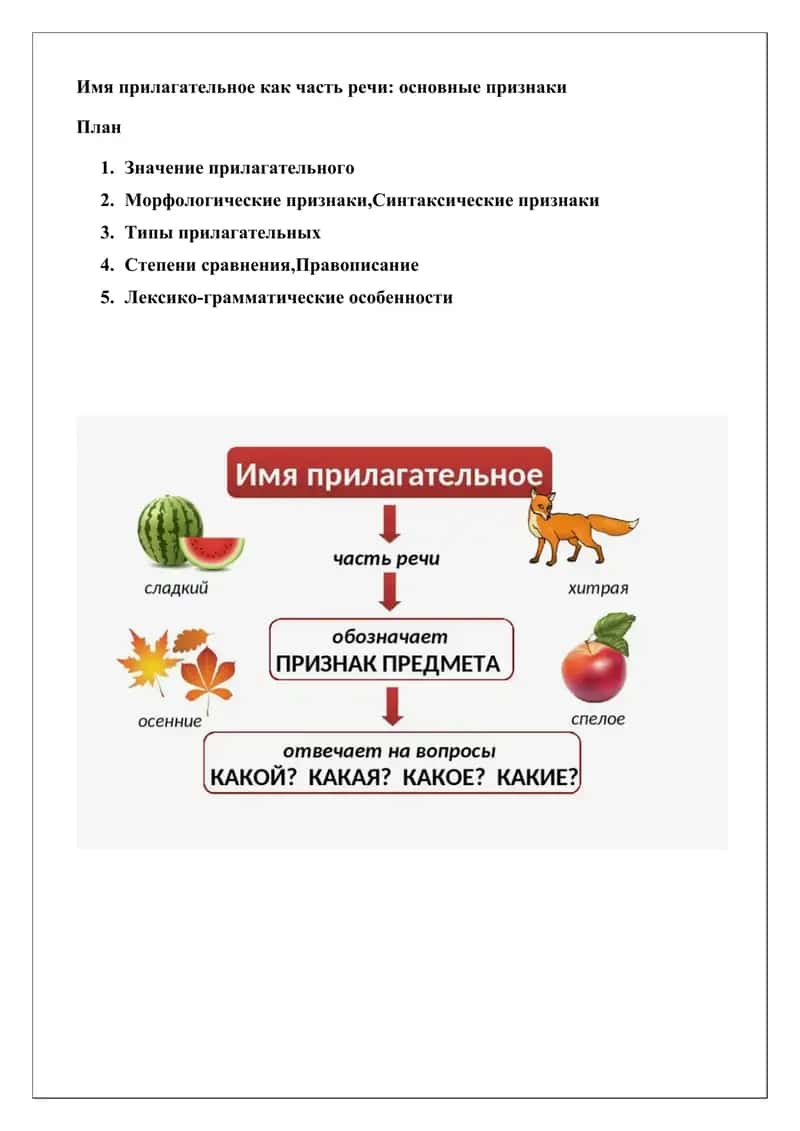 Имя прилагательное как часть речи: основные признаки 1