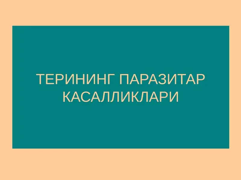 Терининг паразитар касалликлари 1