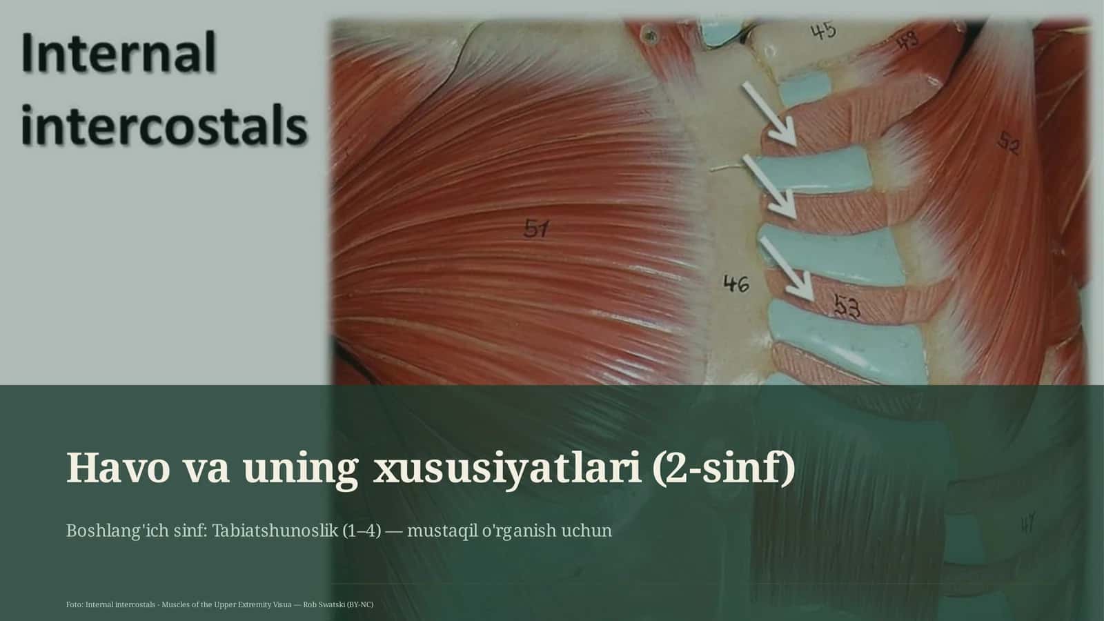 Havo va uning xususiyatlari (2-sinf) 1