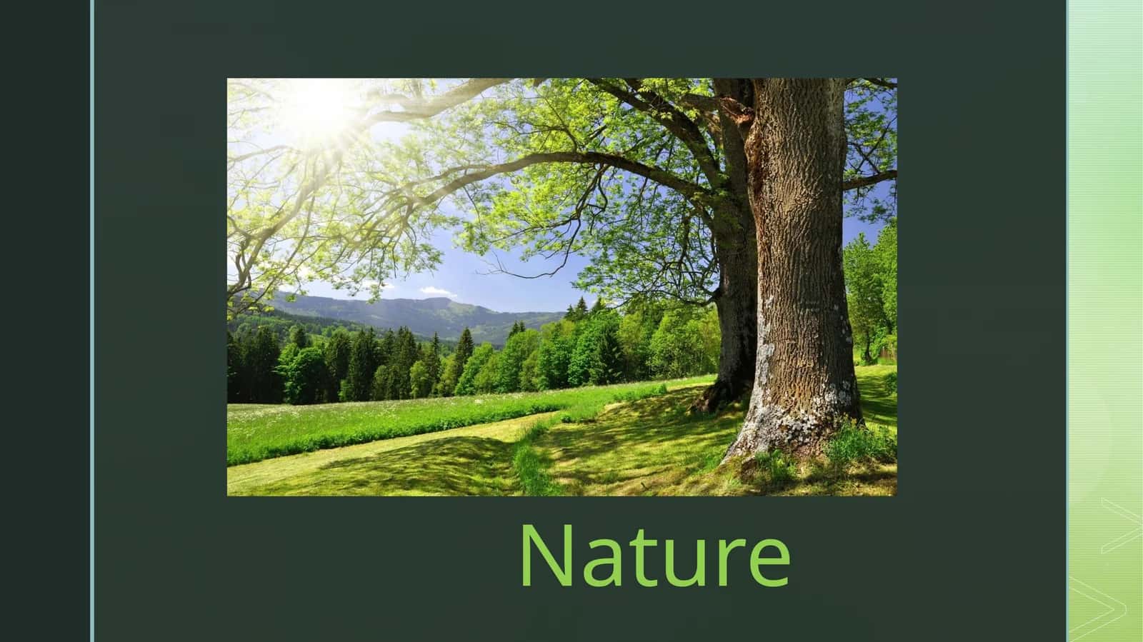 Tabiat / nature 1
