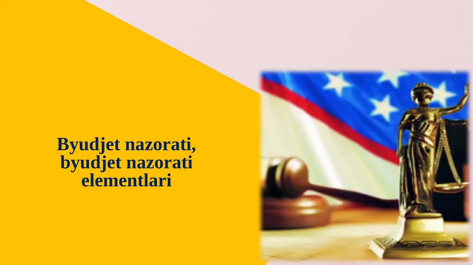 Byudjet nazorati, byudjet nazorati elementlari 1