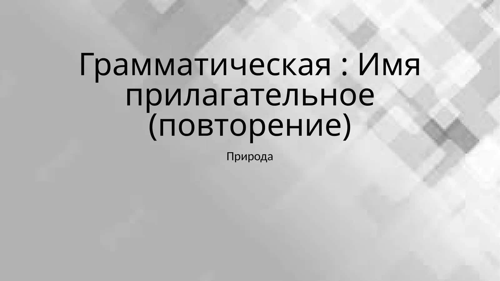 Имя прилагательное (повторение) 1