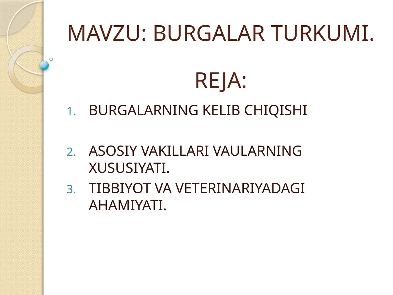BURGALAR TURKUMI 1